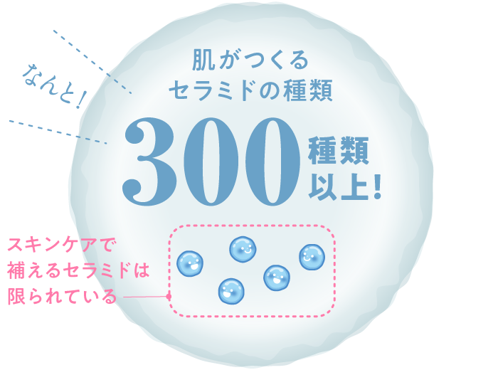 肌が作るセラミドの種類は300種類以上
